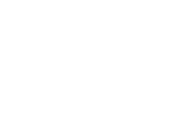 HIHEAD logo bílé